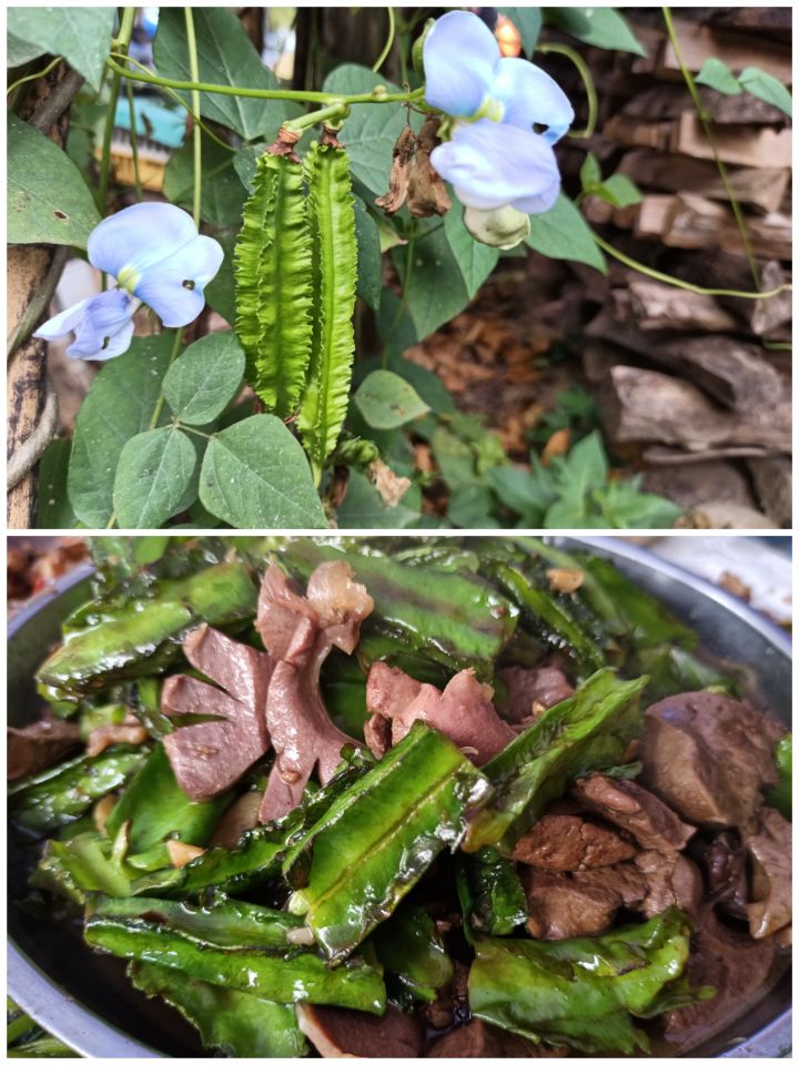 马峦山吃鸡攻略,马峦团建好去处