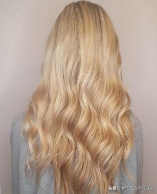 英语原版阅读：一般现在时与现在进行时的练习Adayinthepark