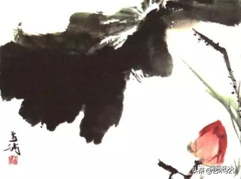 荷花的画法和步骤图解,最简单的荷花画法一学就会