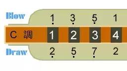 最全十孔布鲁斯口琴入门教程，初学自学推荐！