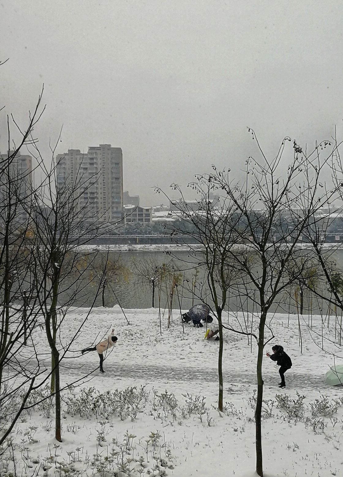 十二星座怎么评价自己,十二星座在别人眼里的看法列表
