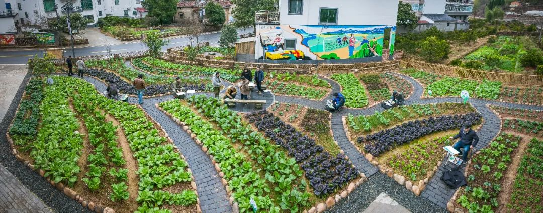 余东村未来社区,聚焦社区热点建言城乡基层治理