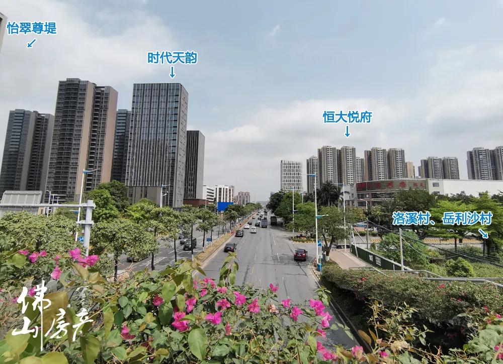 佛山大沥洛溪村,南海之眼洛溪拆迁