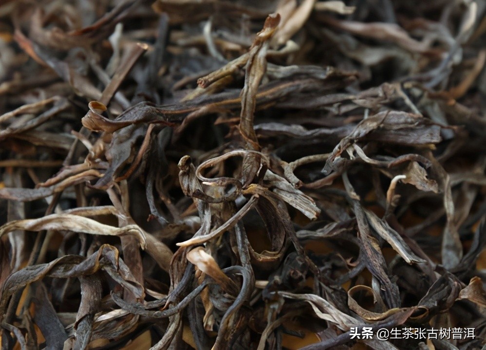 云南普洱茶十大茶山排行,普洱茶山头三大茶区