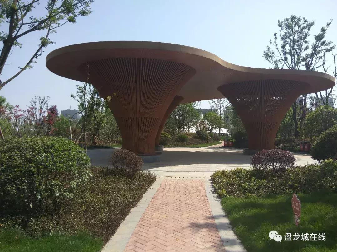 武汉盘龙城古城遗址,武汉盘龙城的起源