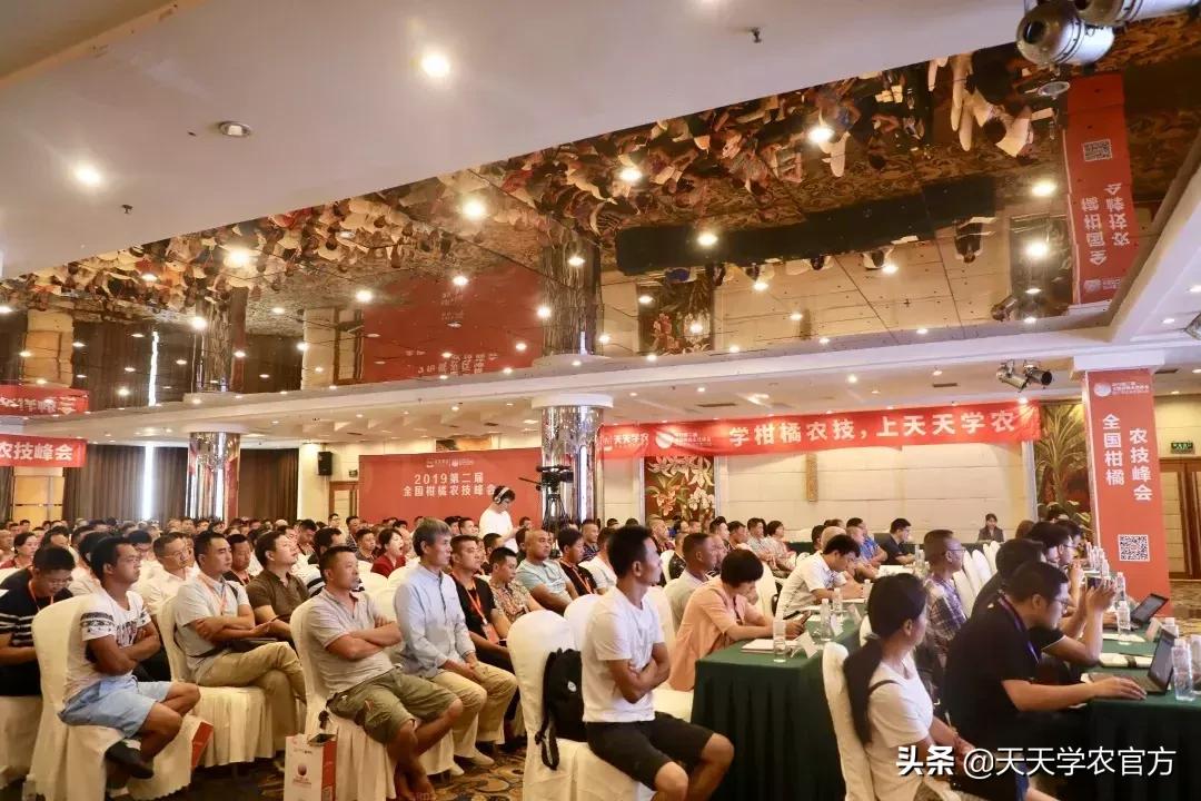 黄龙病使柑橘退化,柑橘黄龙病产业调整指导意见