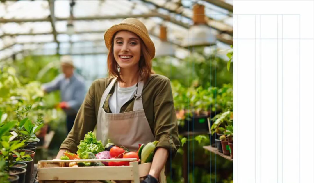 设计布局大全,设计师布局技巧