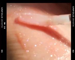 小众彩妆安利：如此貌美的神仙级彩妆，才配得上与众不同的你