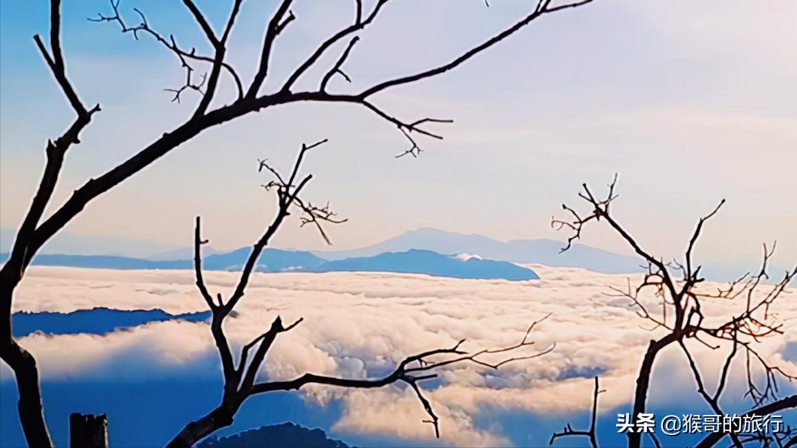 去尖峰岭看日出住哪里好呢,去乐东尖峰岭看日出的攻略