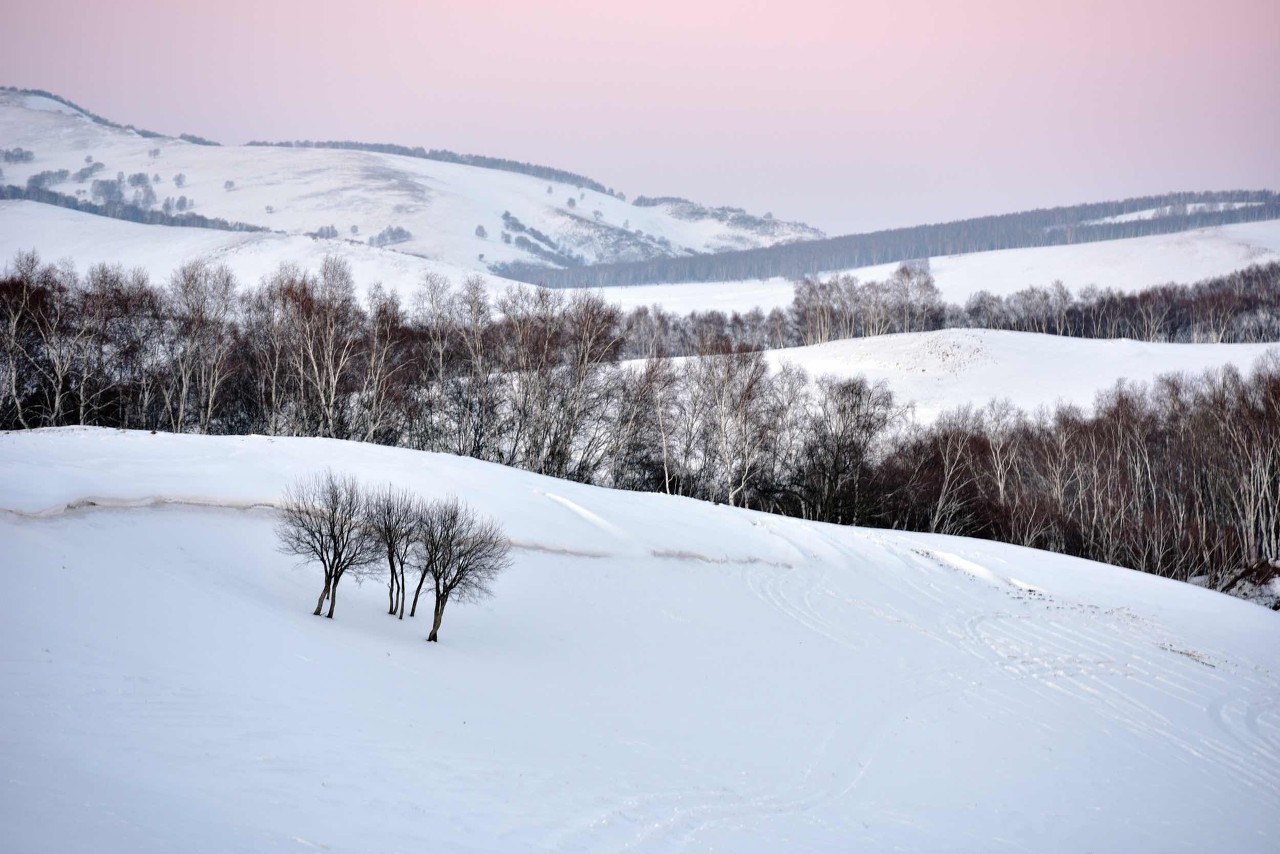 学习强国高频错题大全,学习强国新题易错题
