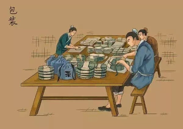 普洱生茶与熟茶哪个更适合入门,关于普洱茶生茶和熟茶的区别知识