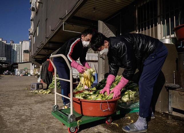 韩国的“钻石白菜价”令人望而却步，多重因素下的农业危机