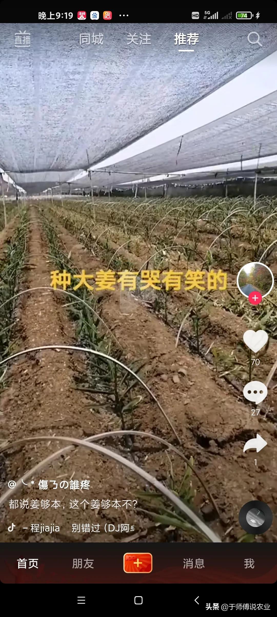 大姜在小培土前后,为什么根腐烂脖子会特别严重呢?