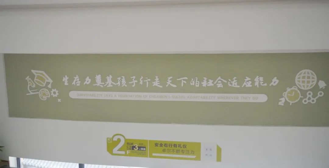 绵阳东辰聚星国际学校建设公告,冉冉升起的一颗新星完整视频