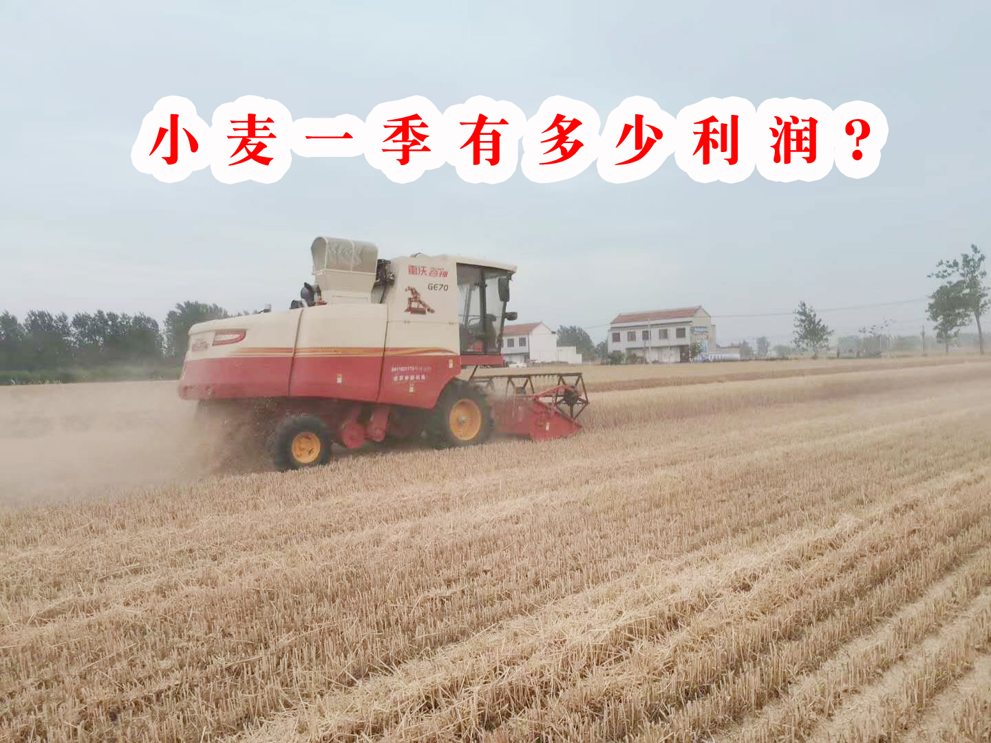 70亩田租金5000元合理吗,租金800元每月