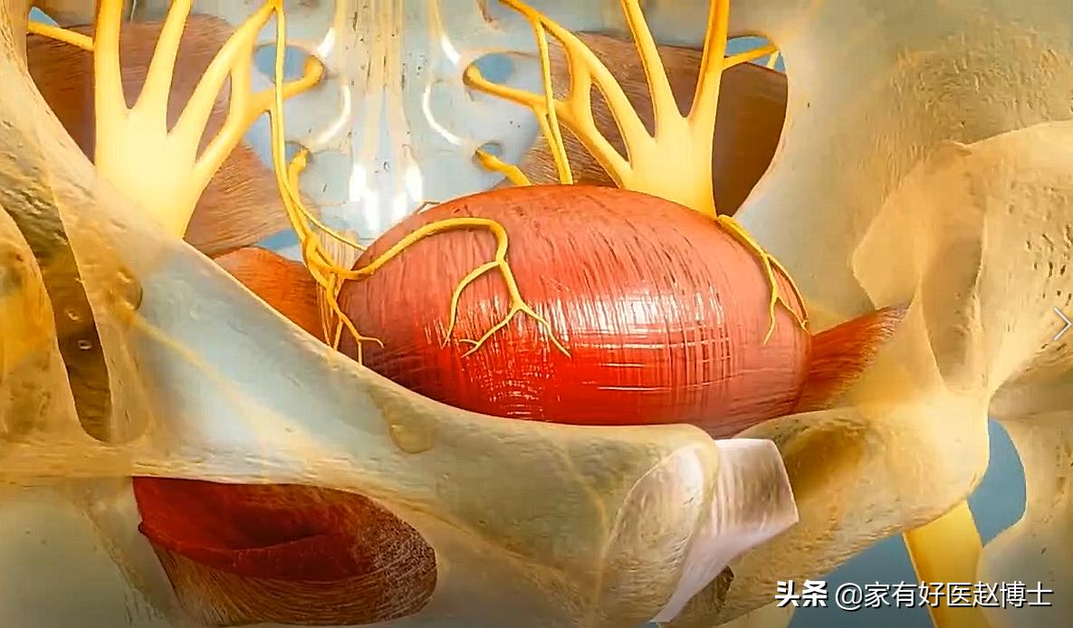 总跑厕所正常吗,总是跑卫生间