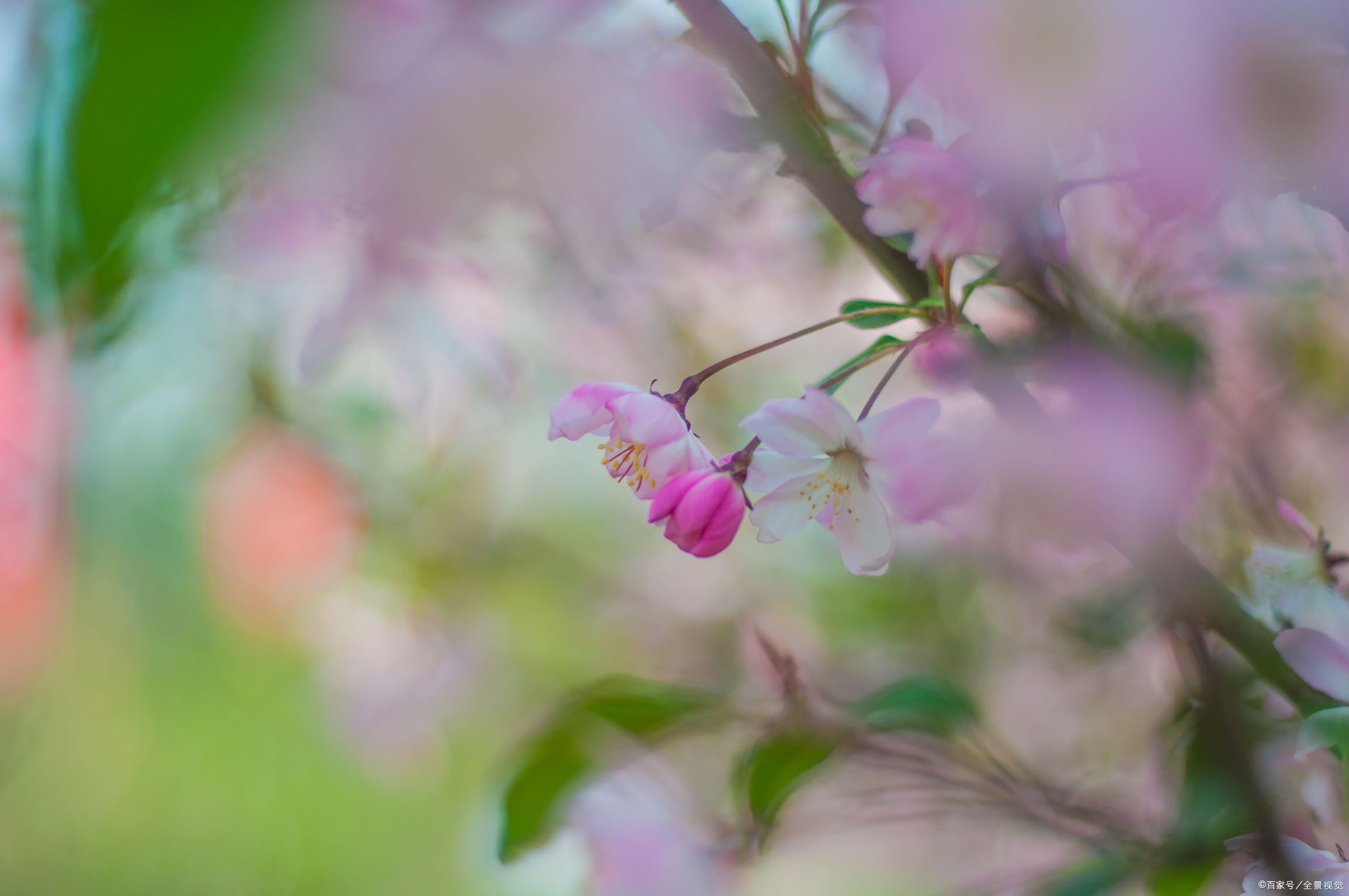 不喜怒偏执，是最大的善；过分偏执易怒是病，得治疗