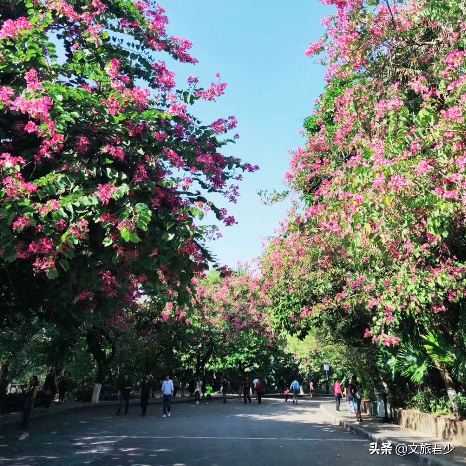 水濂山森林公园景点,东莞水濂山森林公园景点介绍