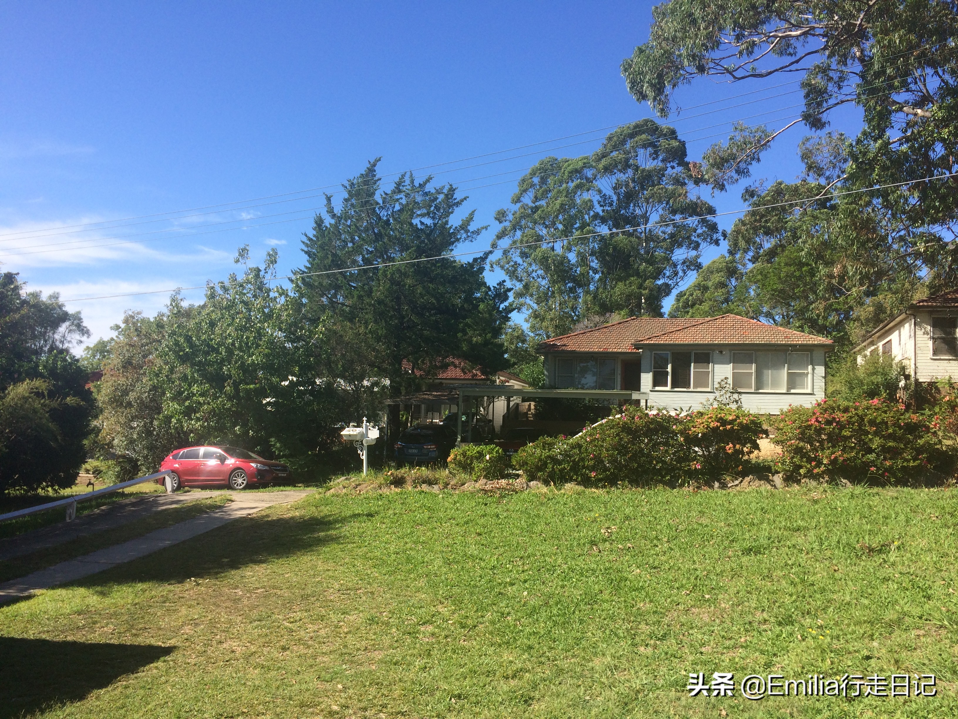 澳洲人居住的真实生活,在悉尼的感受