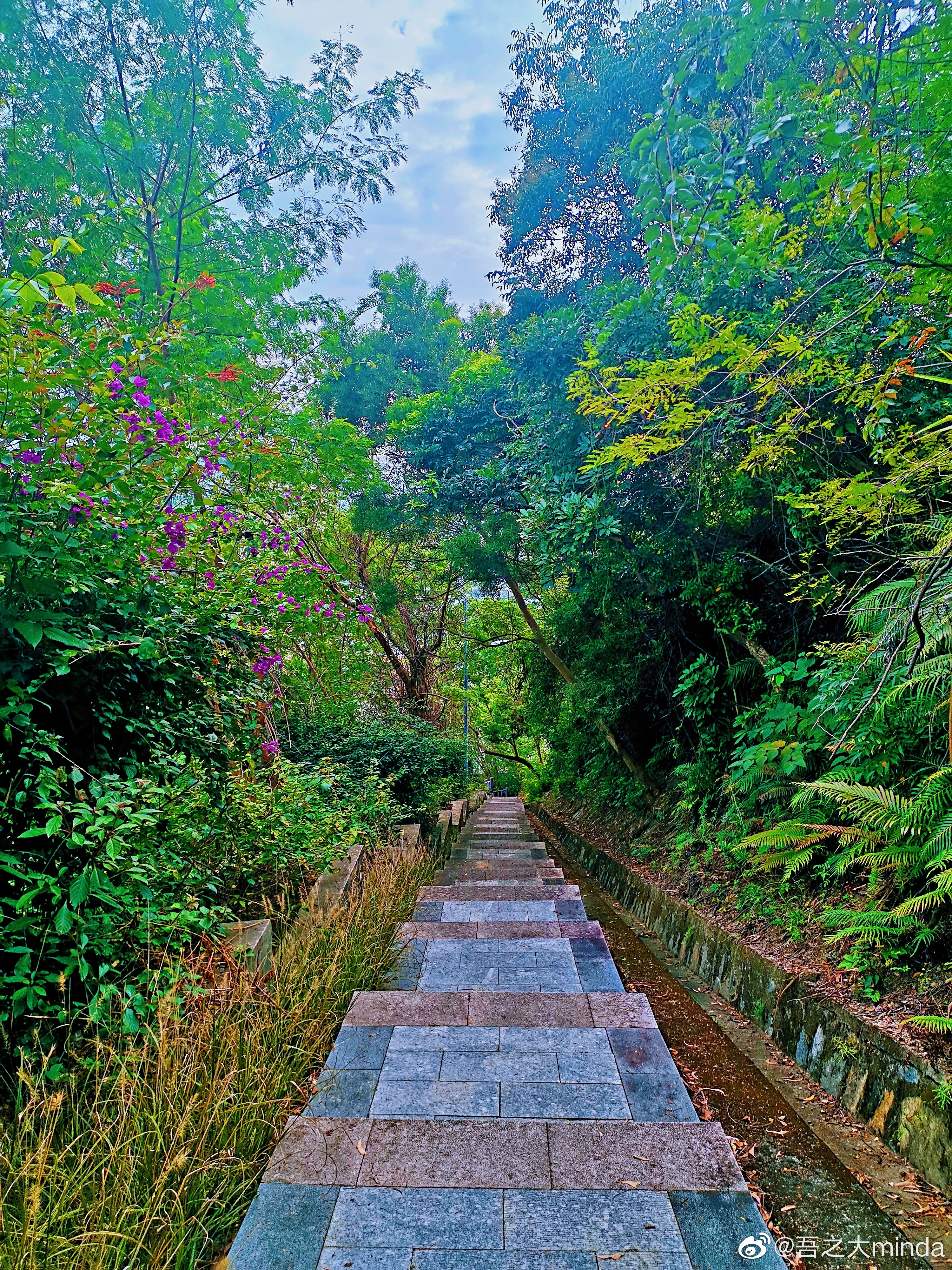 梧桐山下幽径,梧桐山下清风明月