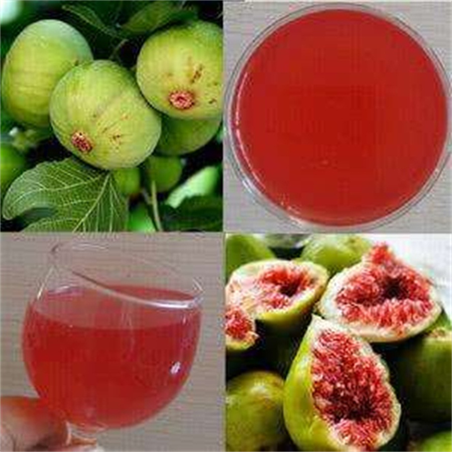 唐三镜真全粮杨俊丽：果酒技术-无花果酒的酿制方法及功效