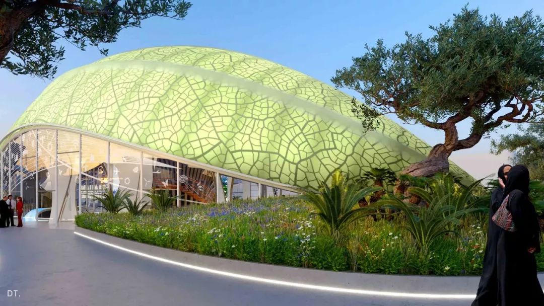 2020迪拜世博会各国展馆“群魔乱舞”！大型综艺「建筑师的夏天」