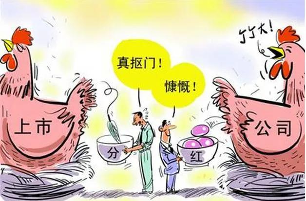 股票分红真的能分到钱吗,股票分红一般一股能分到多少钱