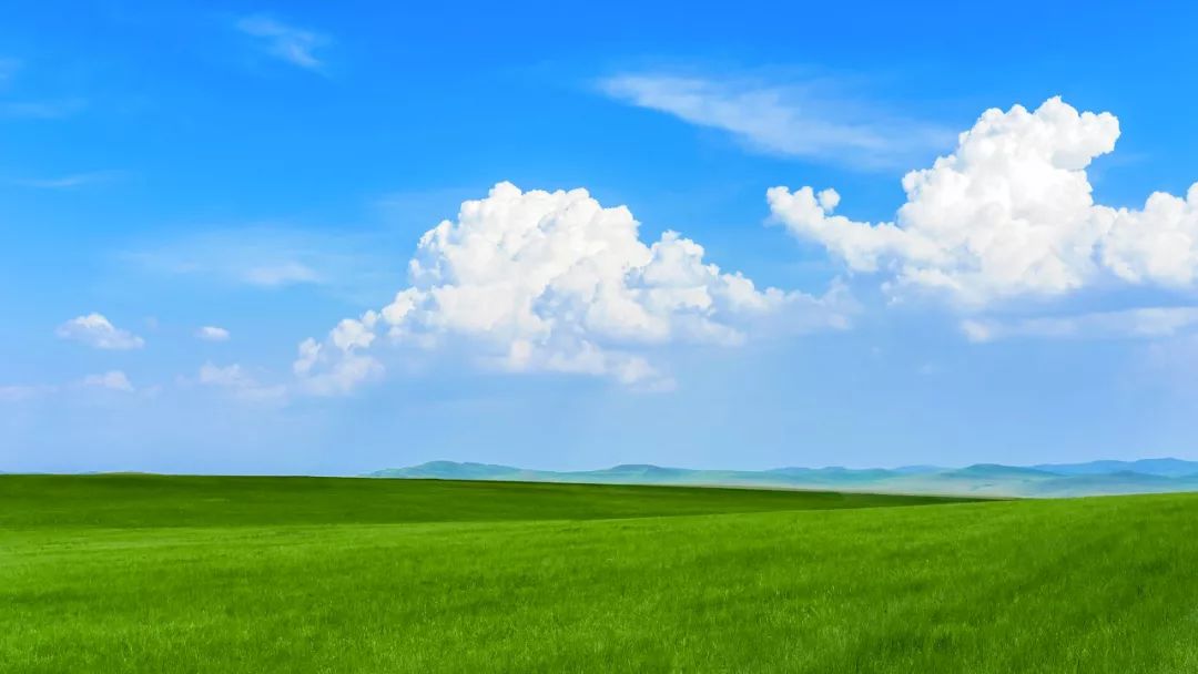 呼伦贝尔感受大自然的美好,呼伦贝尔终生难忘的草原