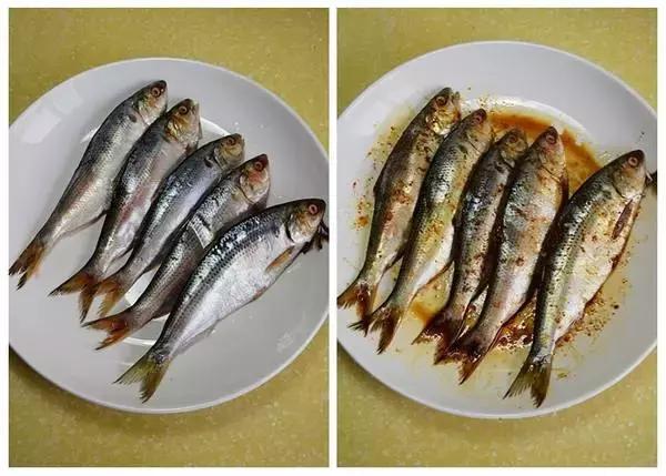 秦皇岛海鲜有哪几种比较好,这时的秦皇岛有哪些海鲜正当季