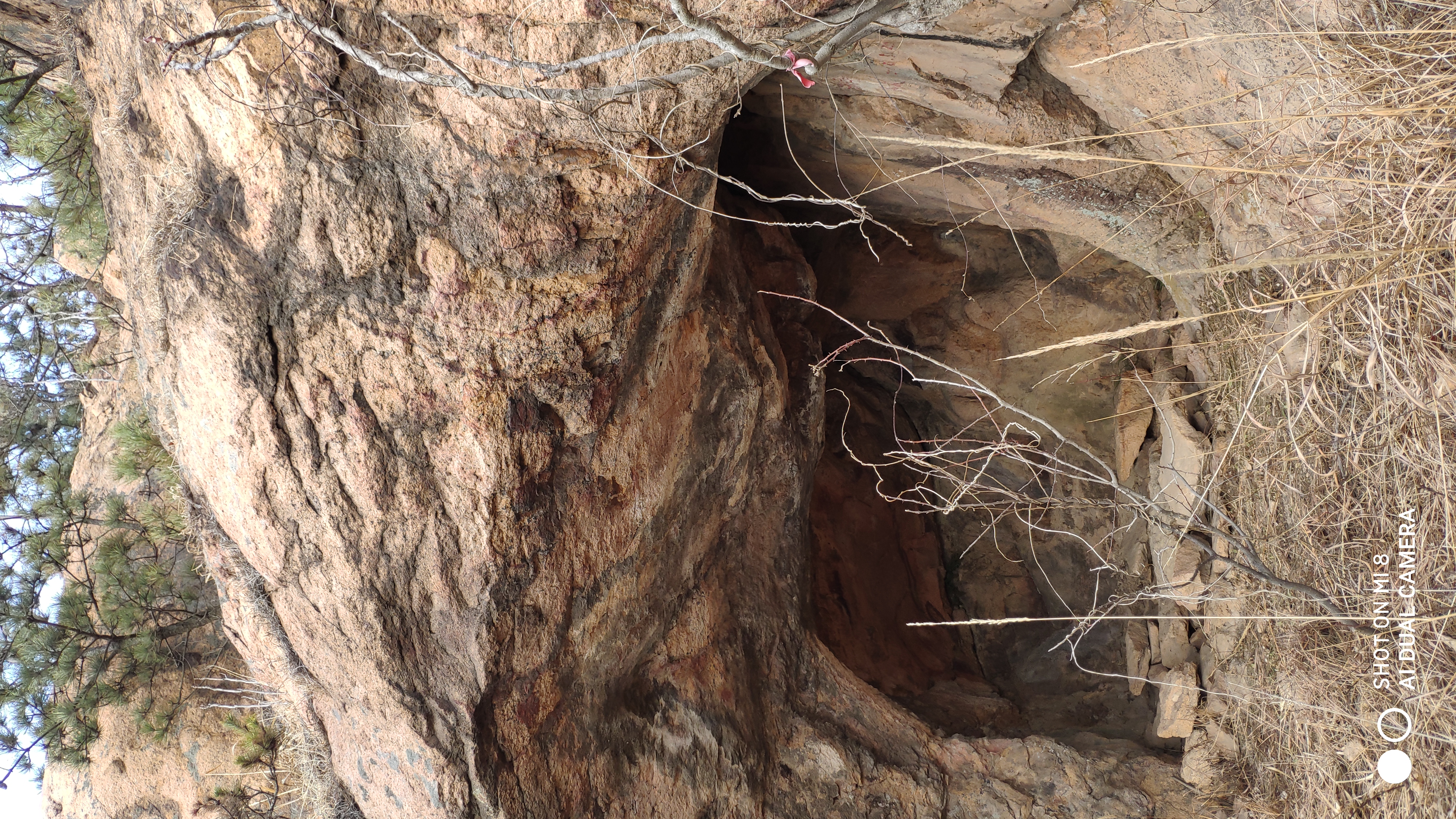 崂山水畔菜蔬鲜，黄石洞中书韵长