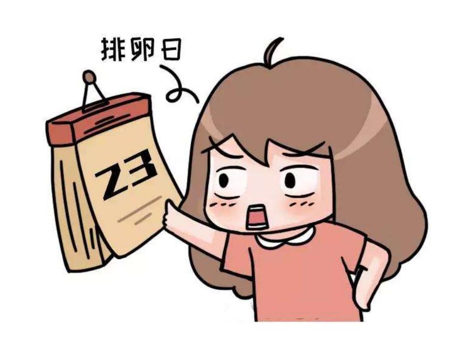 备孕请注意!女性身体出现6个特征,说明排卵期到了,要把握时机