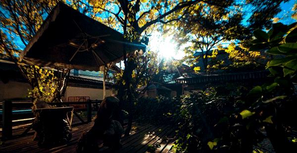 国庆假期必住|分分钟拍出大片的绝美仙气民宿,每家都想睡~记得提前预订哟!