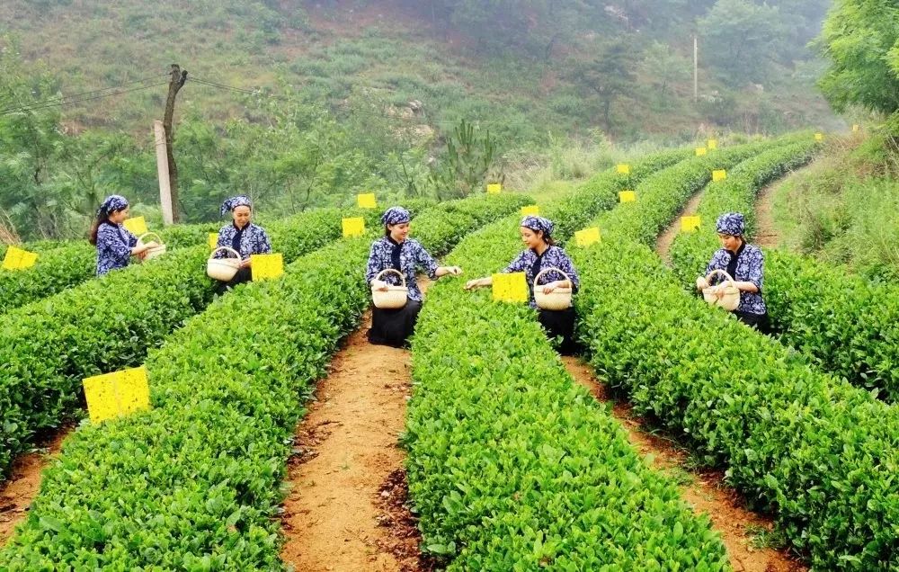 市场监管局有没有权力查账,市场监管局能查到哪些信息