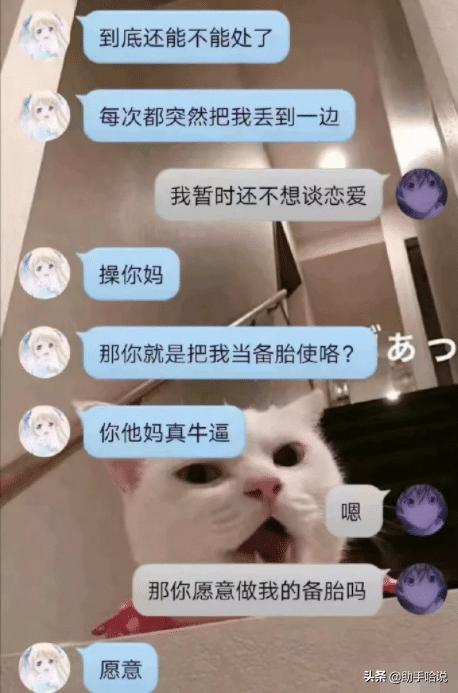 四川人和台湾人说话叠词,四川人的叠词有多可爱