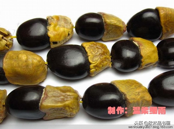 木鱼菩提子的种类全图解,菩提子手串种类图