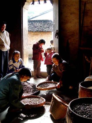 老院子乡愁散文,记忆中的老屋乡土散文