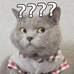 鼻子毛孔粗大怎么缩回去,挤完黑头毛孔粗大能缩回去吗