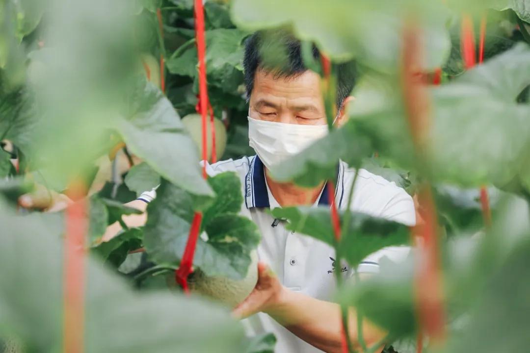 几天吃光6万吨滞销农产品，淘宝吃货：很抱歉以这样的方式出名