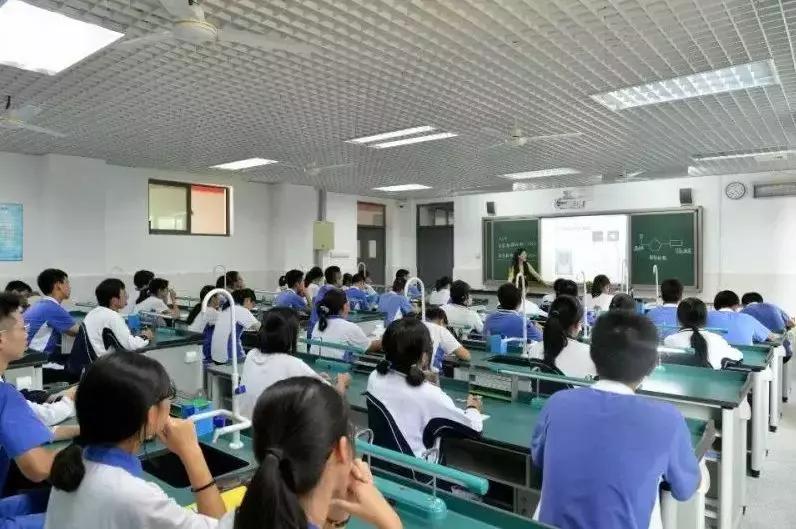 育才中学最后的冲刺,育才中学2019年小升初