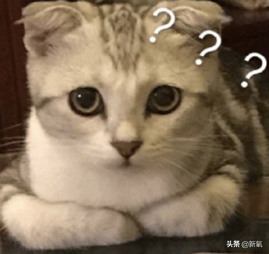 张柏芝最崩溃的时刻,张柏芝连续16天没醒