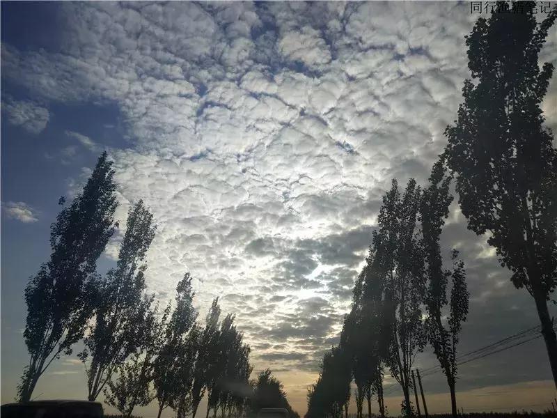 钓鱼笔记30个视频,钓鱼笔记最新视频