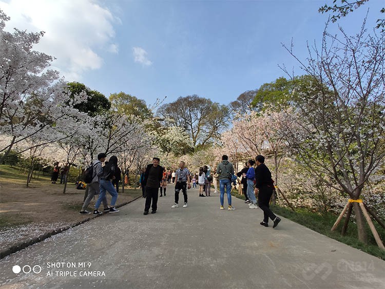 现在新出来的小米手机有啥,小米10s是中端机还是旗舰机