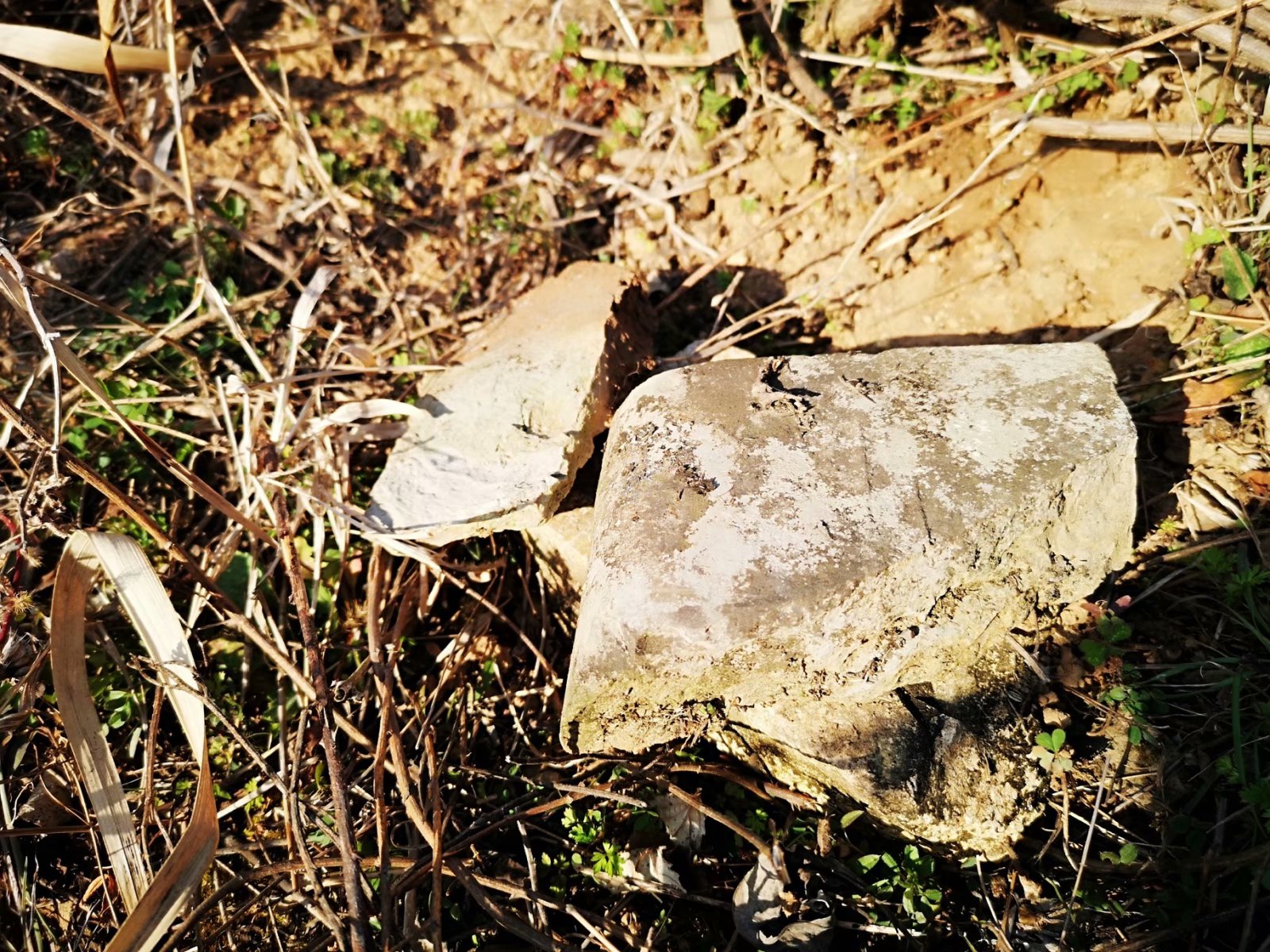 摩托周边旮旯游——探访蚌埠李楼鲁山寺遗址（上）