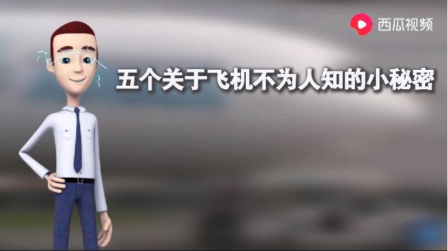 飞机的秘密儿童百科全书,飞机鲜为人知的秘密