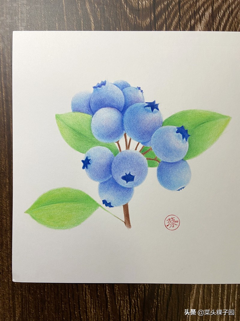 马可雷诺阿彩铅油性和水溶性区别,马可雷诺彩铅教程