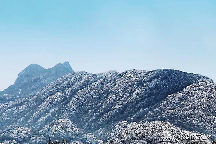 一路向北到桂林自驾游,一路向北柳州紫荆花