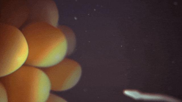 避孕不成功超过7天怎么补救,错误的四种避孕的方法