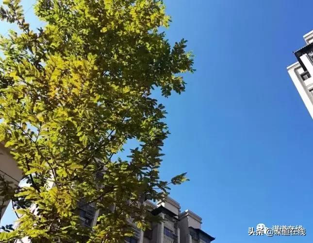 在苏马荡避暑每月大概花费多少钱,苏马荡住哪里好