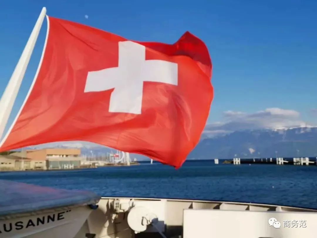 swatch厉害吗,swatch到底是什么