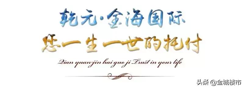 鐏垫鍠滄姤,涔惧厓2017